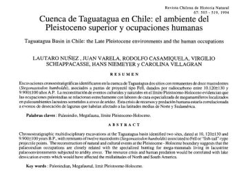 Cuenca de Taguatagua en Chile