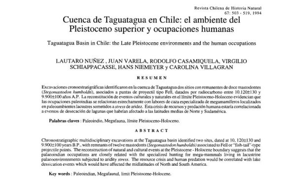 Cuenca de Taguatagua en Chile